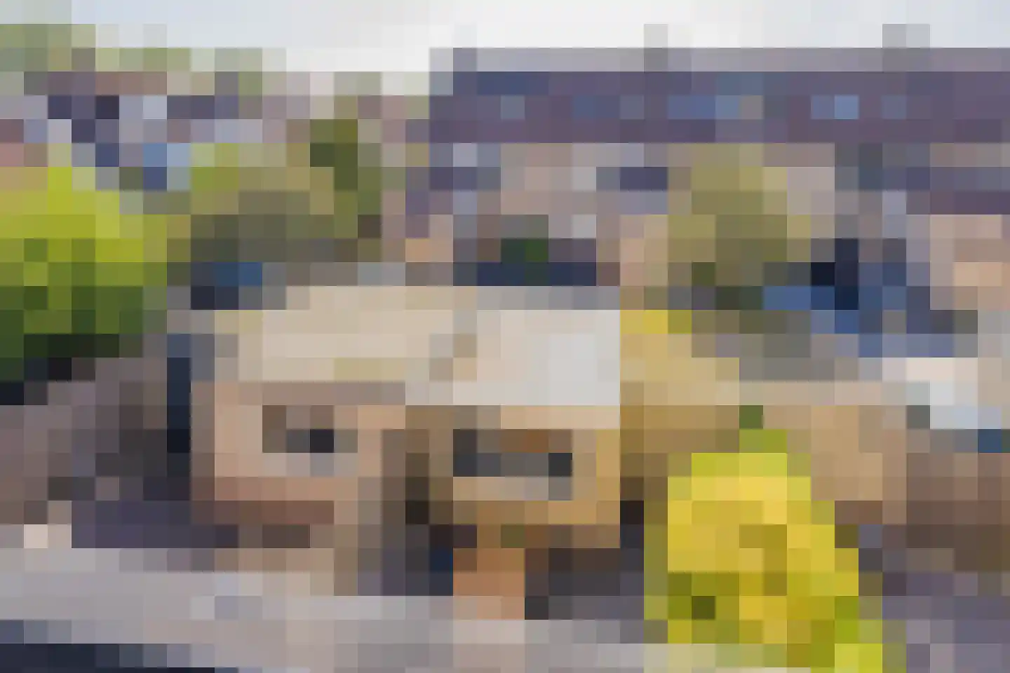 Binnenweid 2 Velserbroek thumbnail 38