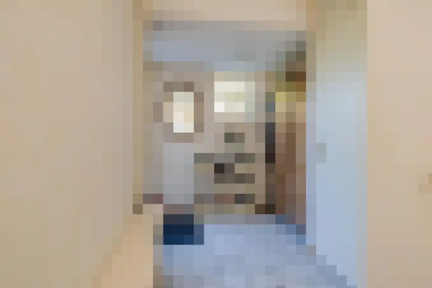 Binnenweid 2 Velserbroek thumbnail 7