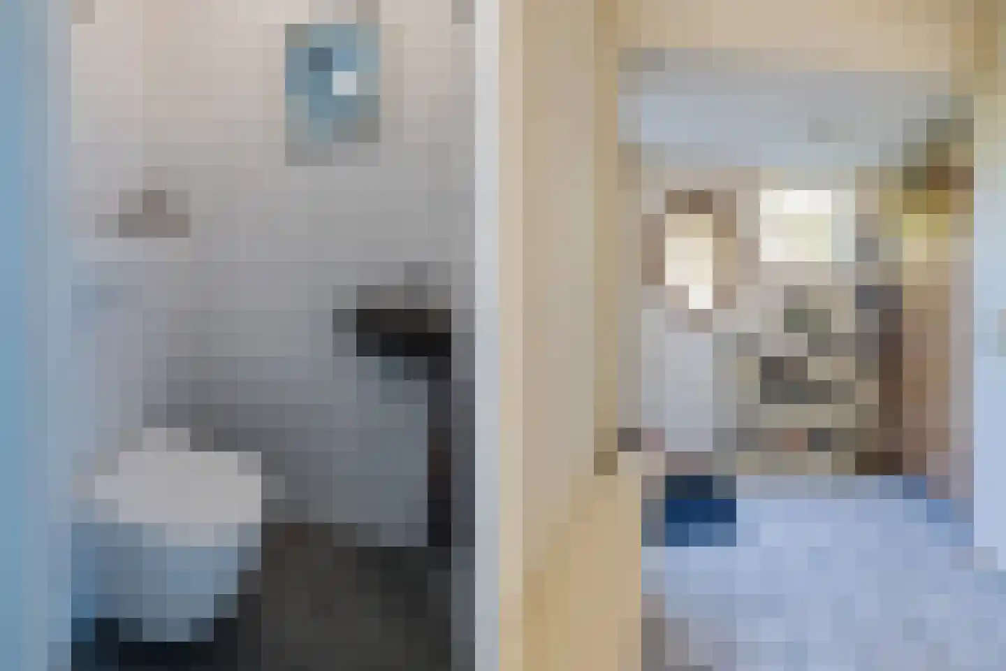 Binnenweid 2 Velserbroek thumbnail 9