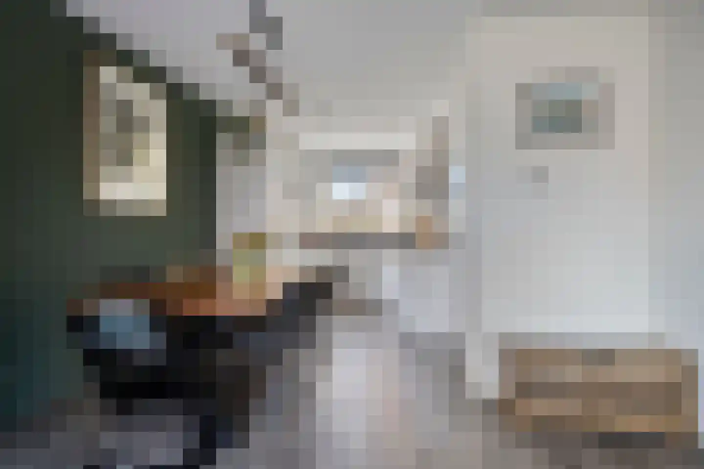 Binnenwerk 2 Meppel thumbnail 12