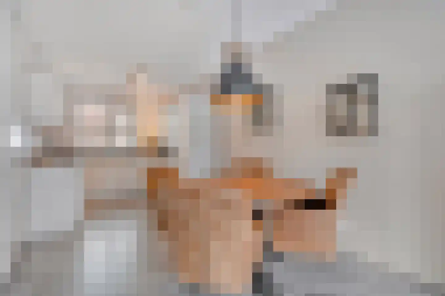 Binnenwerk 6 Meppel thumbnail 10