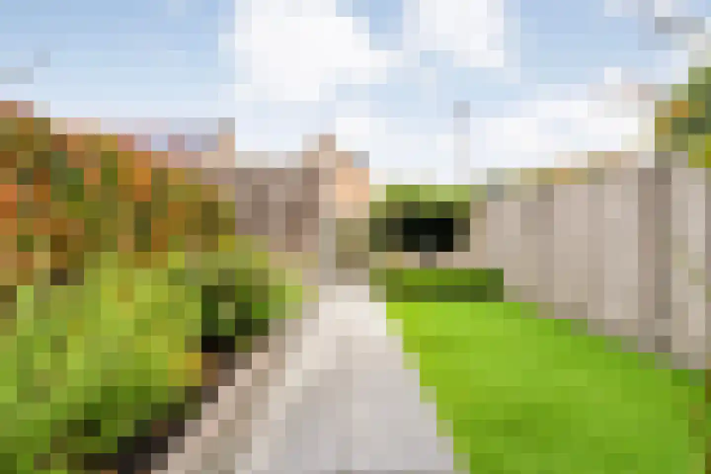 Binnenwerk 6 Meppel thumbnail 31