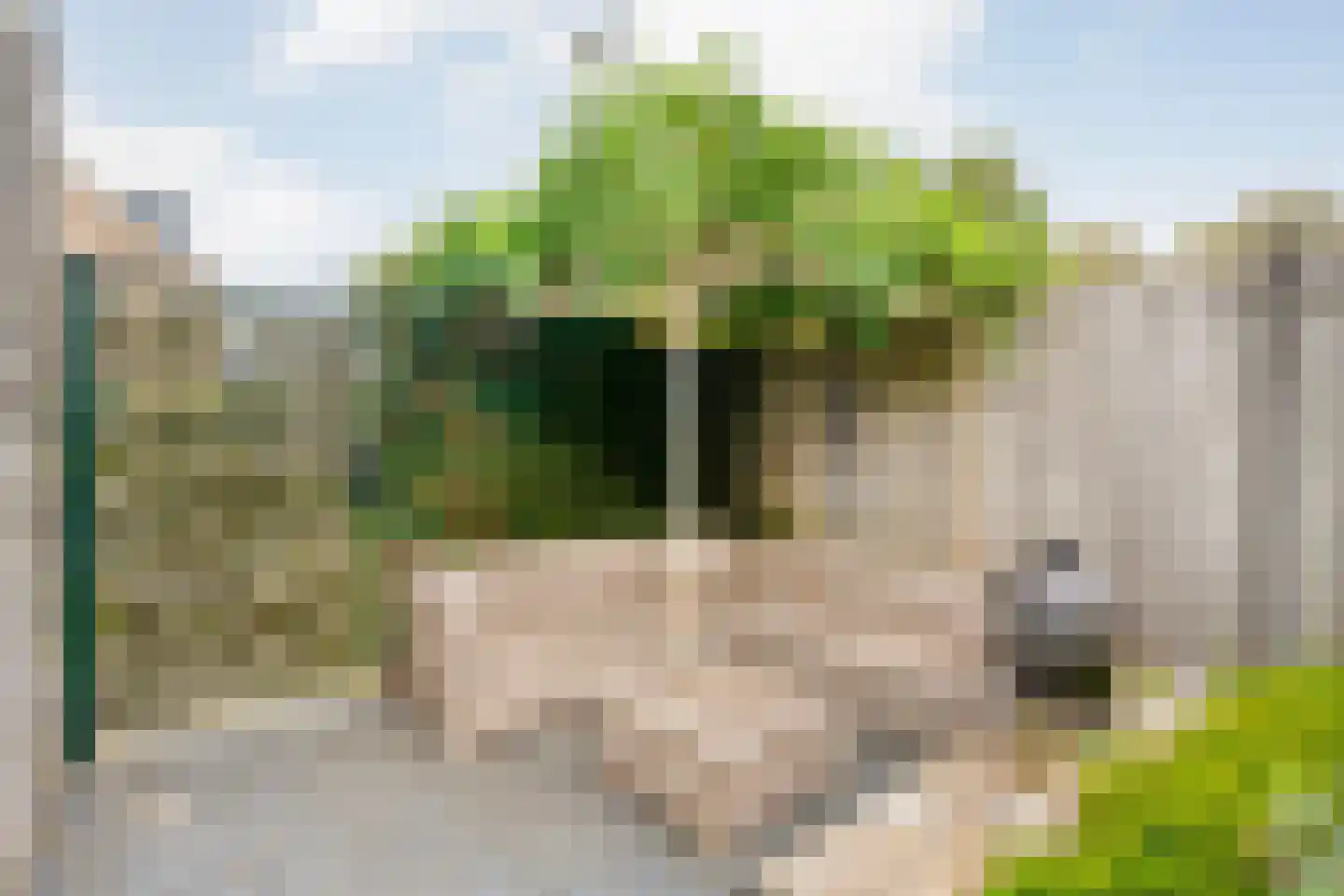 Binnenwerk 6 Meppel thumbnail 34
