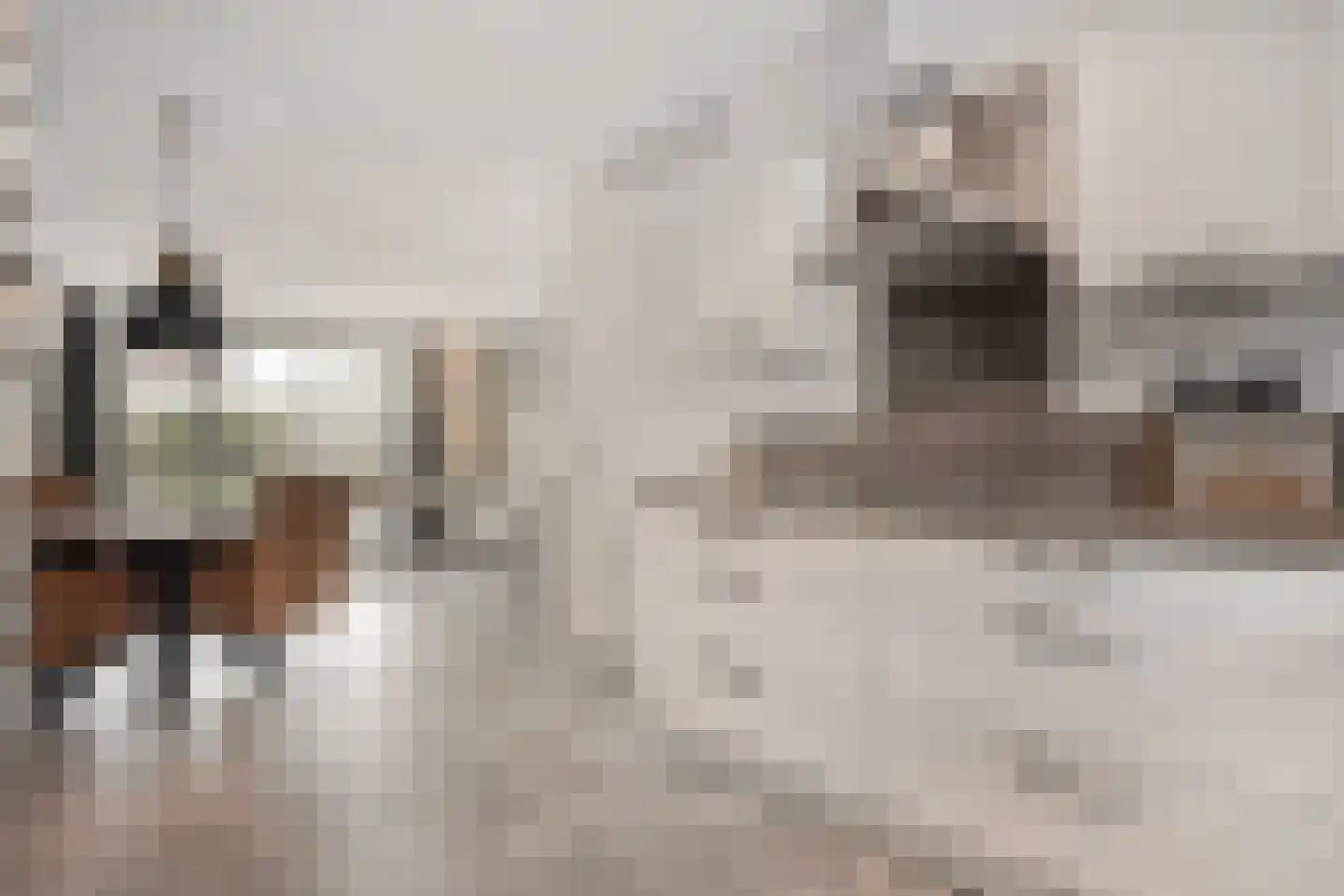 Binnenwerk 6 Meppel thumbnail 4