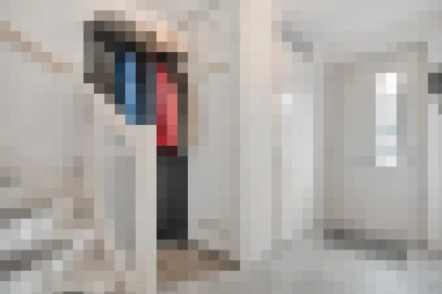 Binnenwerk 6 Meppel thumbnail 5