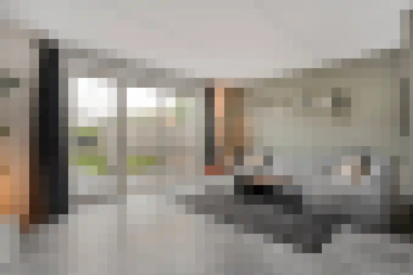 Binnenwerk 6 Meppel thumbnail 7