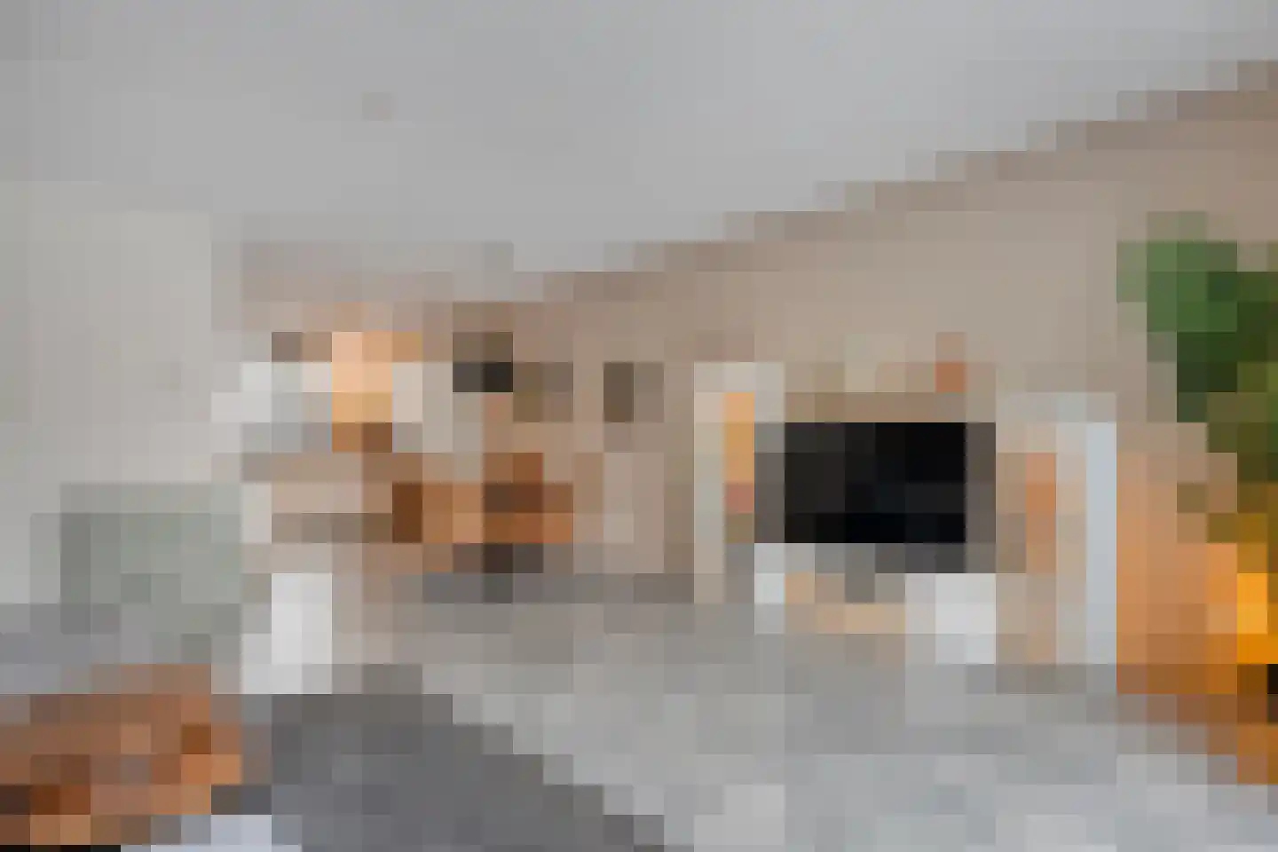 Binnenwerk 6 Meppel thumbnail 9