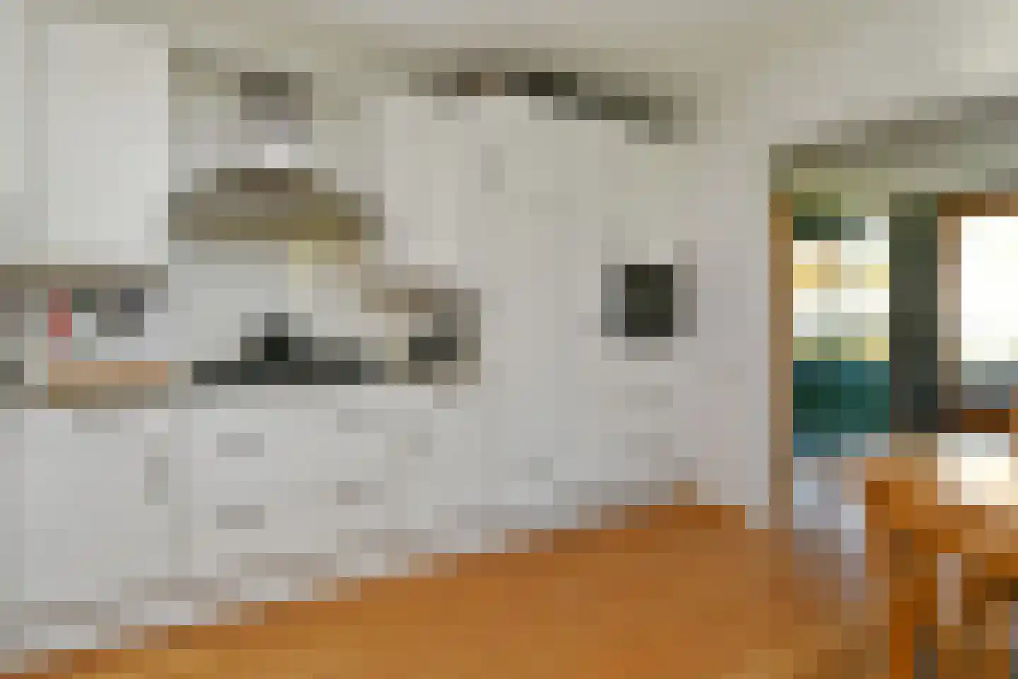 Binnenwiek 14 Weert thumbnail 12