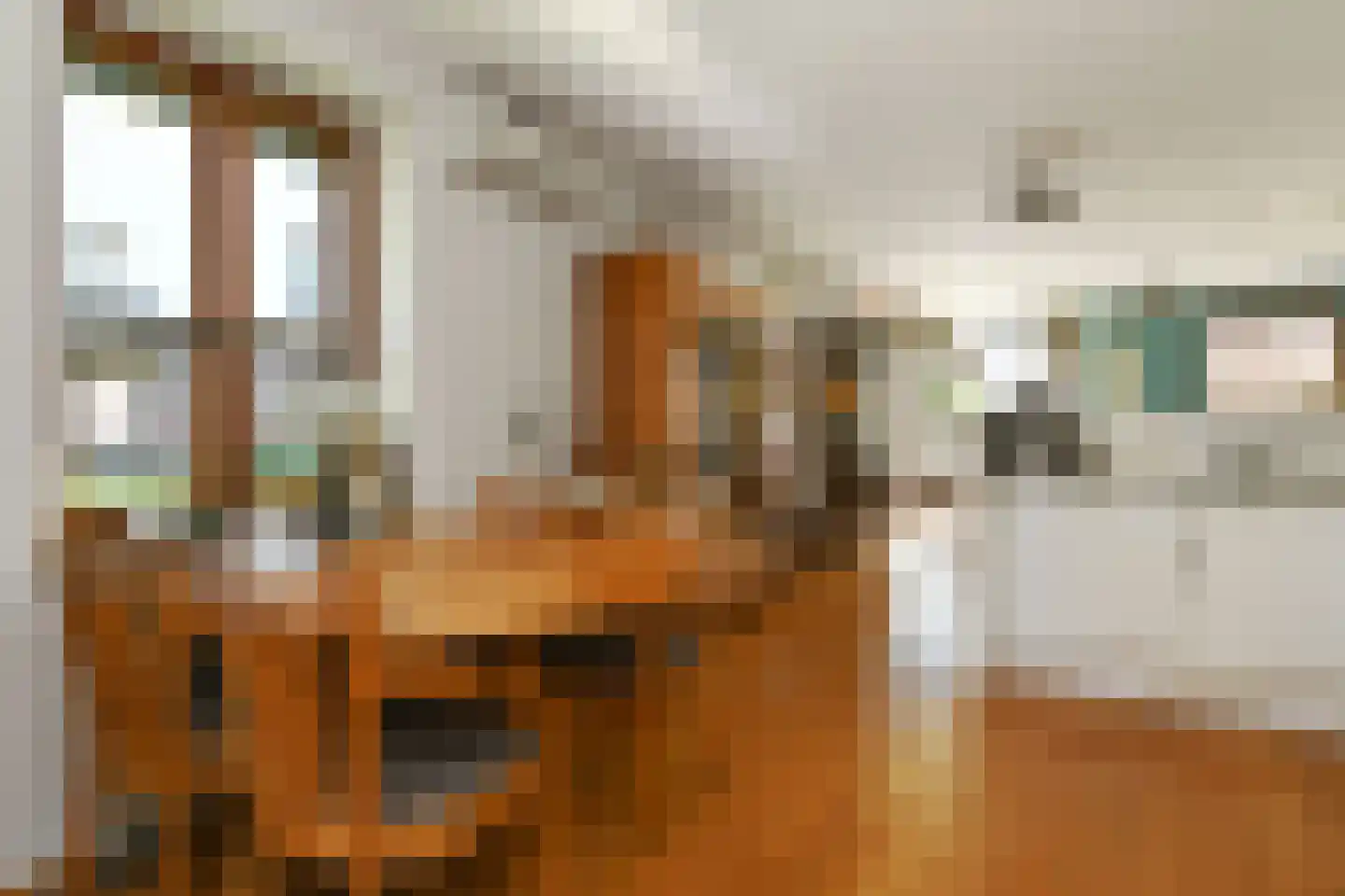 Binnenwiek 14 Weert thumbnail 14