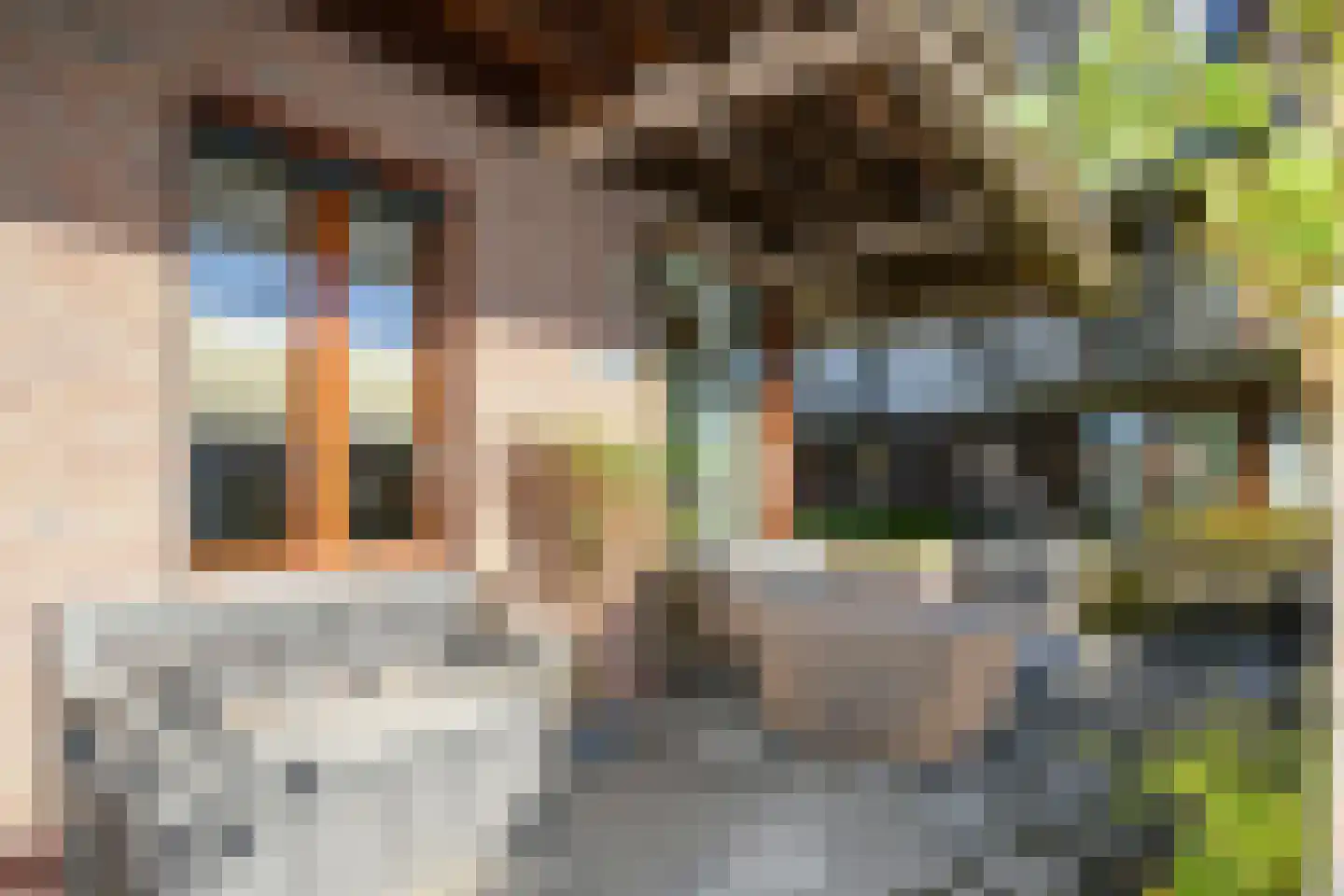 Binnenwiek 14 Weert thumbnail 29