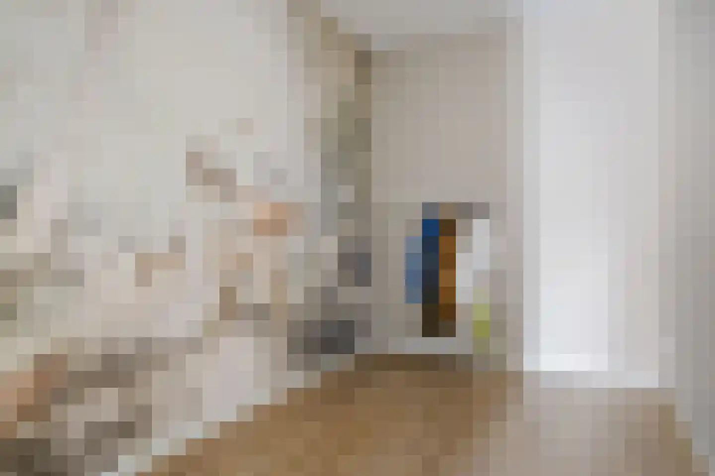 Binnenwijzend 19 A Westwoud thumbnail 13