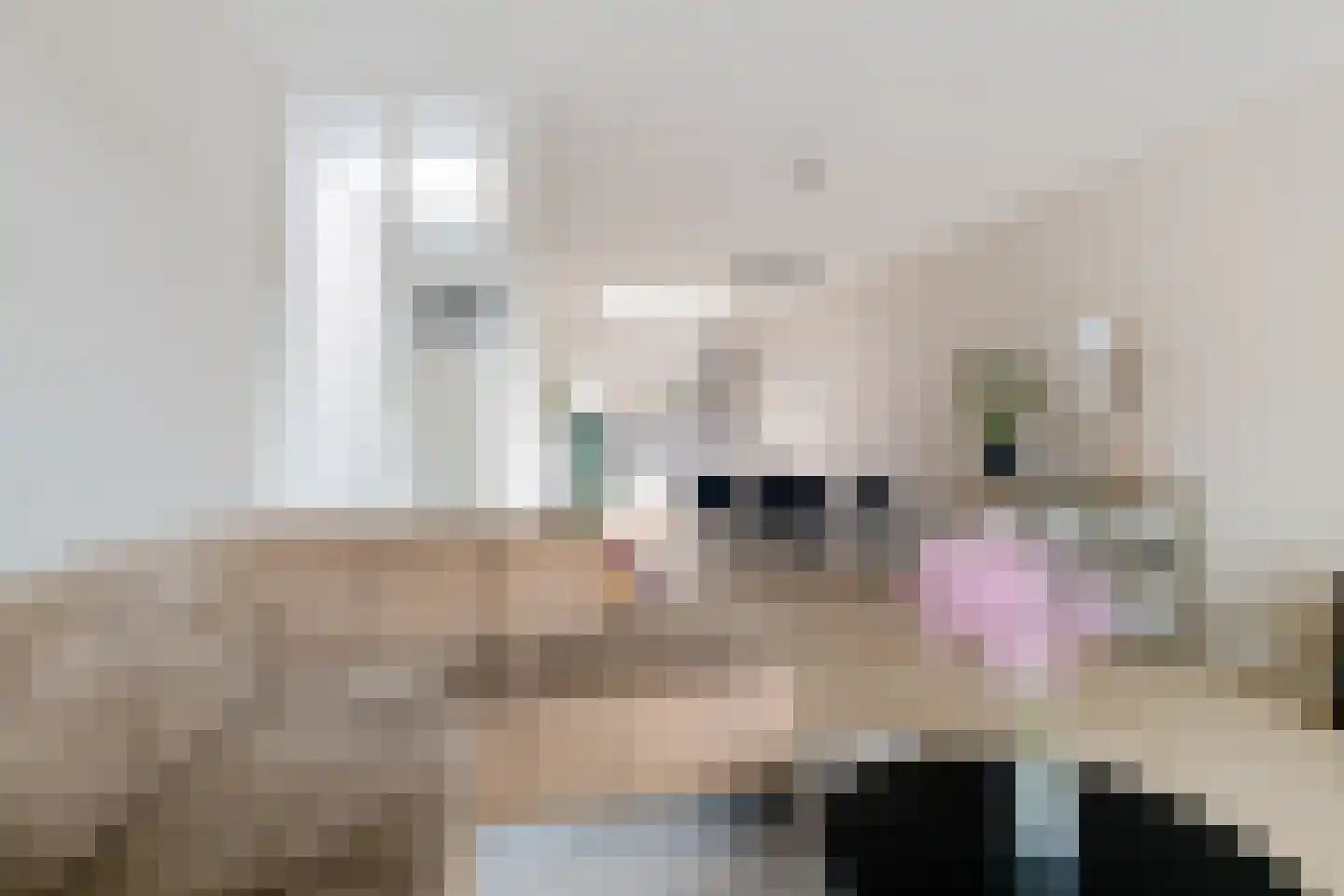 Binnenwijzend 19 A Westwoud thumbnail 25