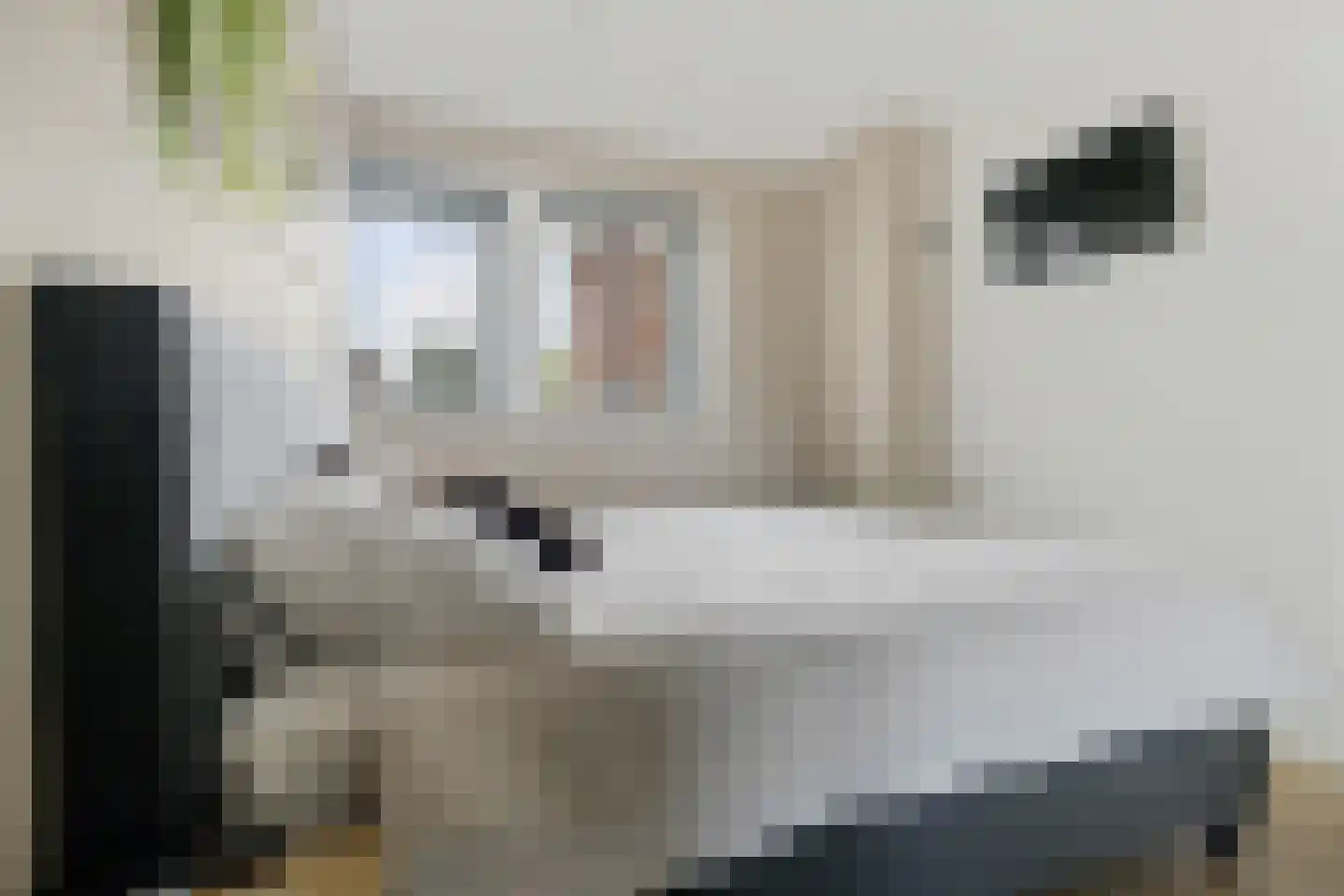 Binnenwijzend 19 A Westwoud thumbnail 4