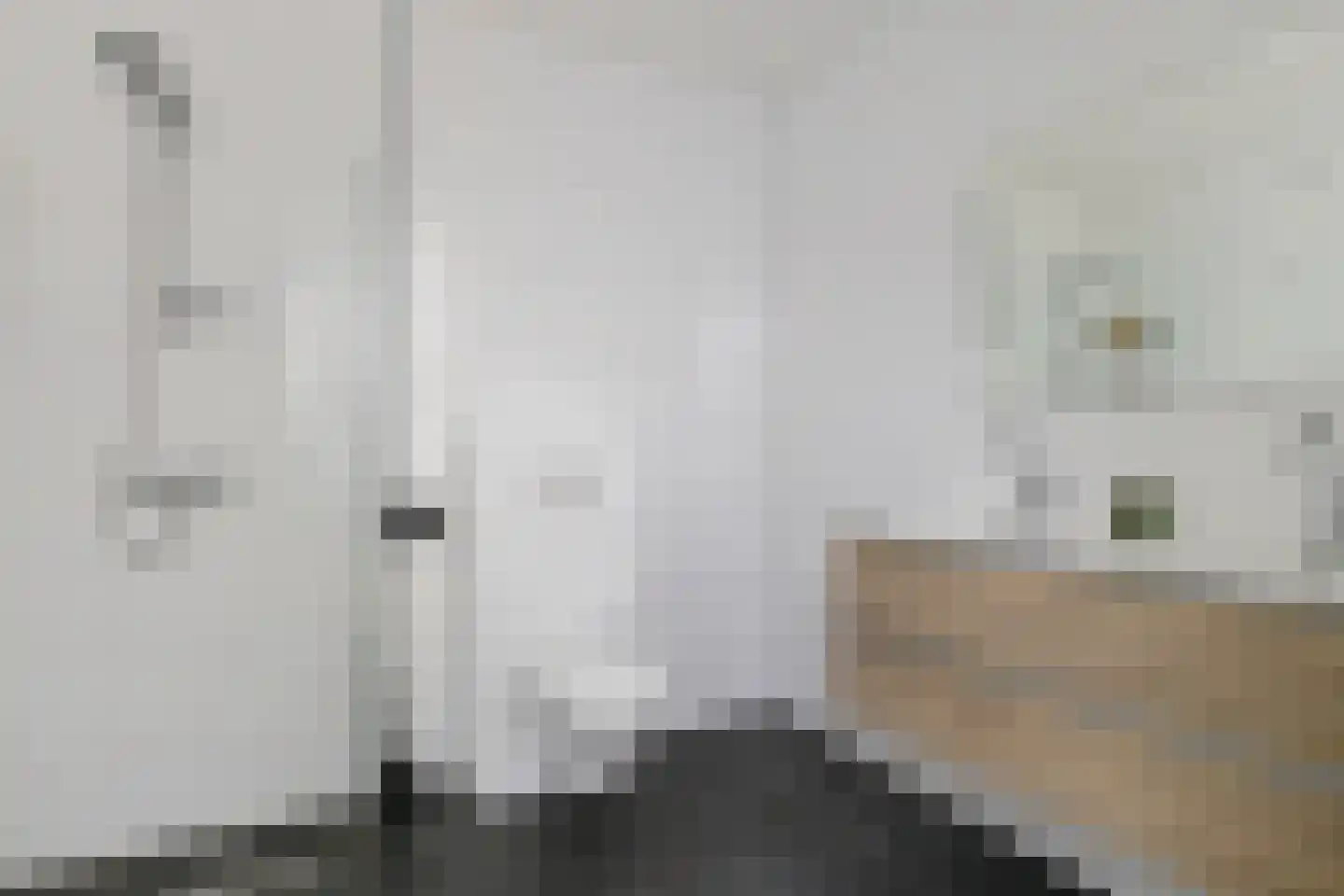 Binnenwijzend 19 A Westwoud thumbnail 8