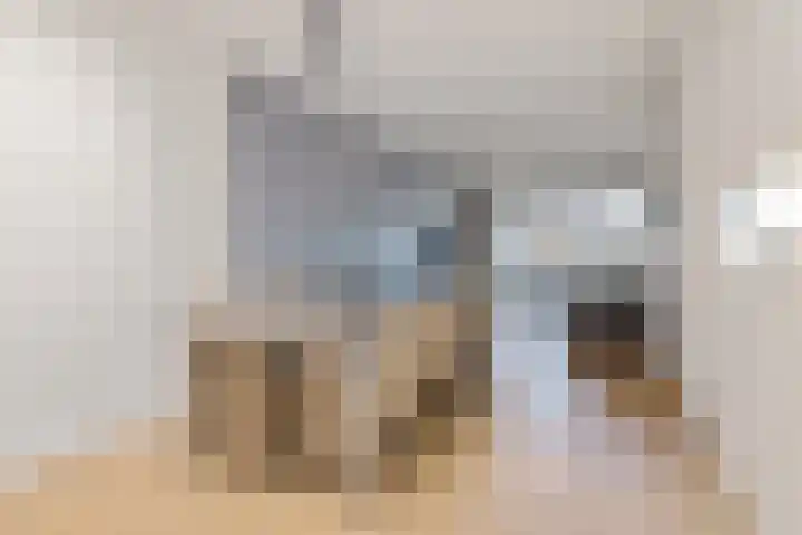 Binnenwijzend 19 C Westwoud thumbnail 6