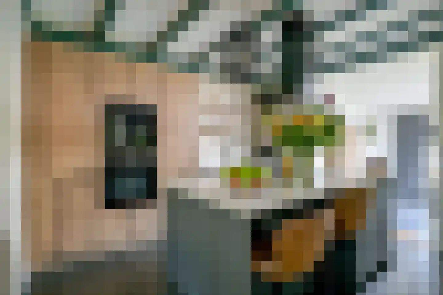 Binnenwijzend 3 Westwoud thumbnail 19