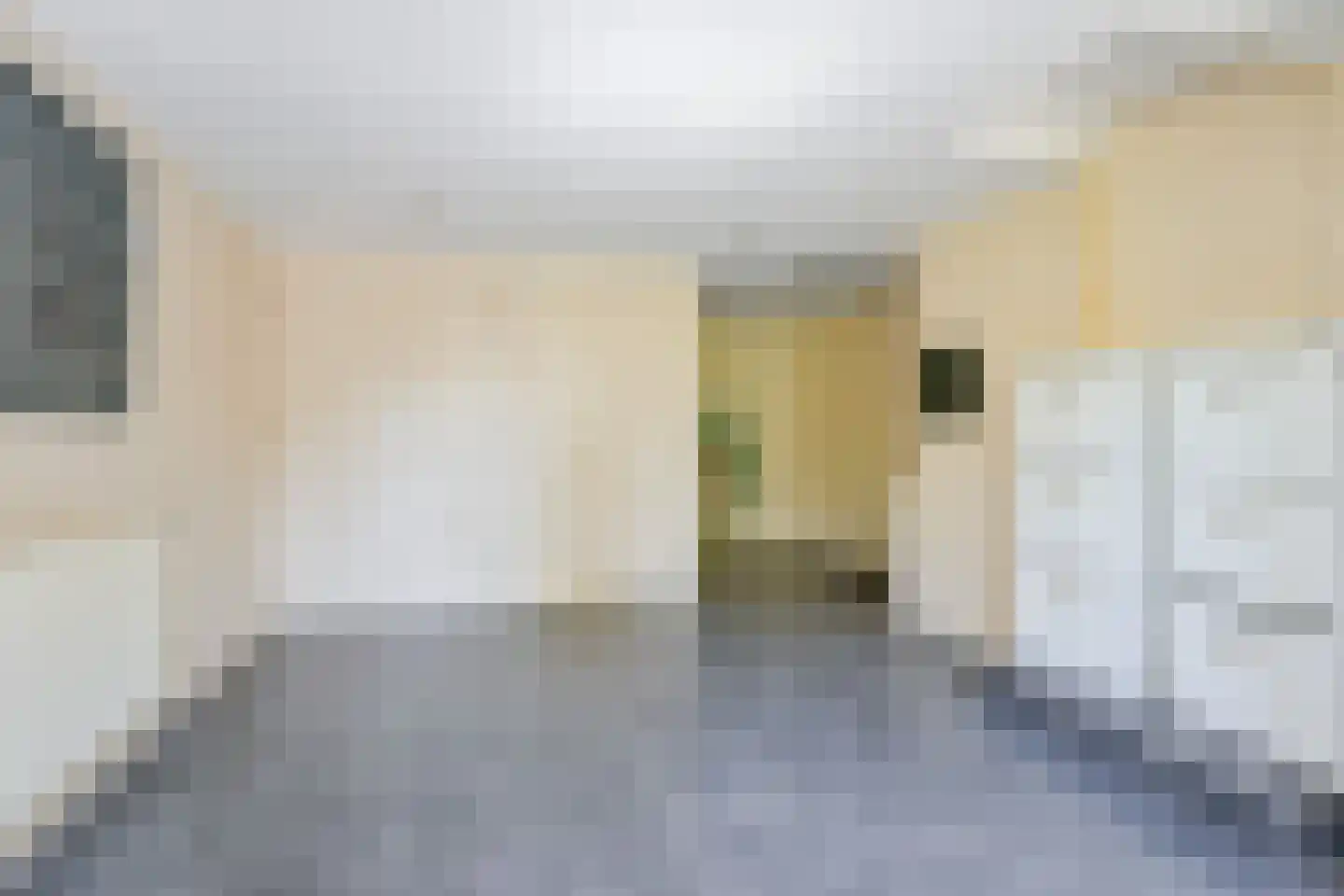 Binnenwijzend 3 Westwoud thumbnail 21