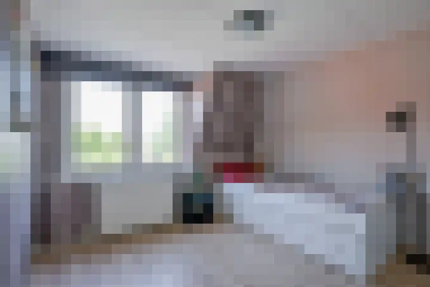 Binnenwijzend 3 Westwoud thumbnail 26