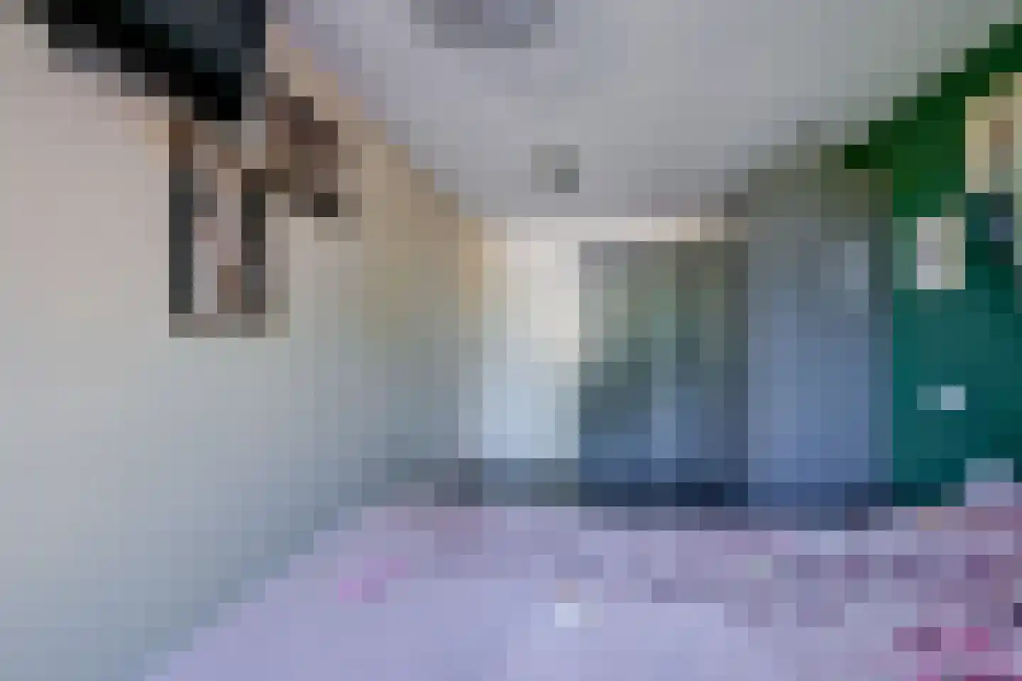 Binnenwijzend 3 Westwoud thumbnail 30