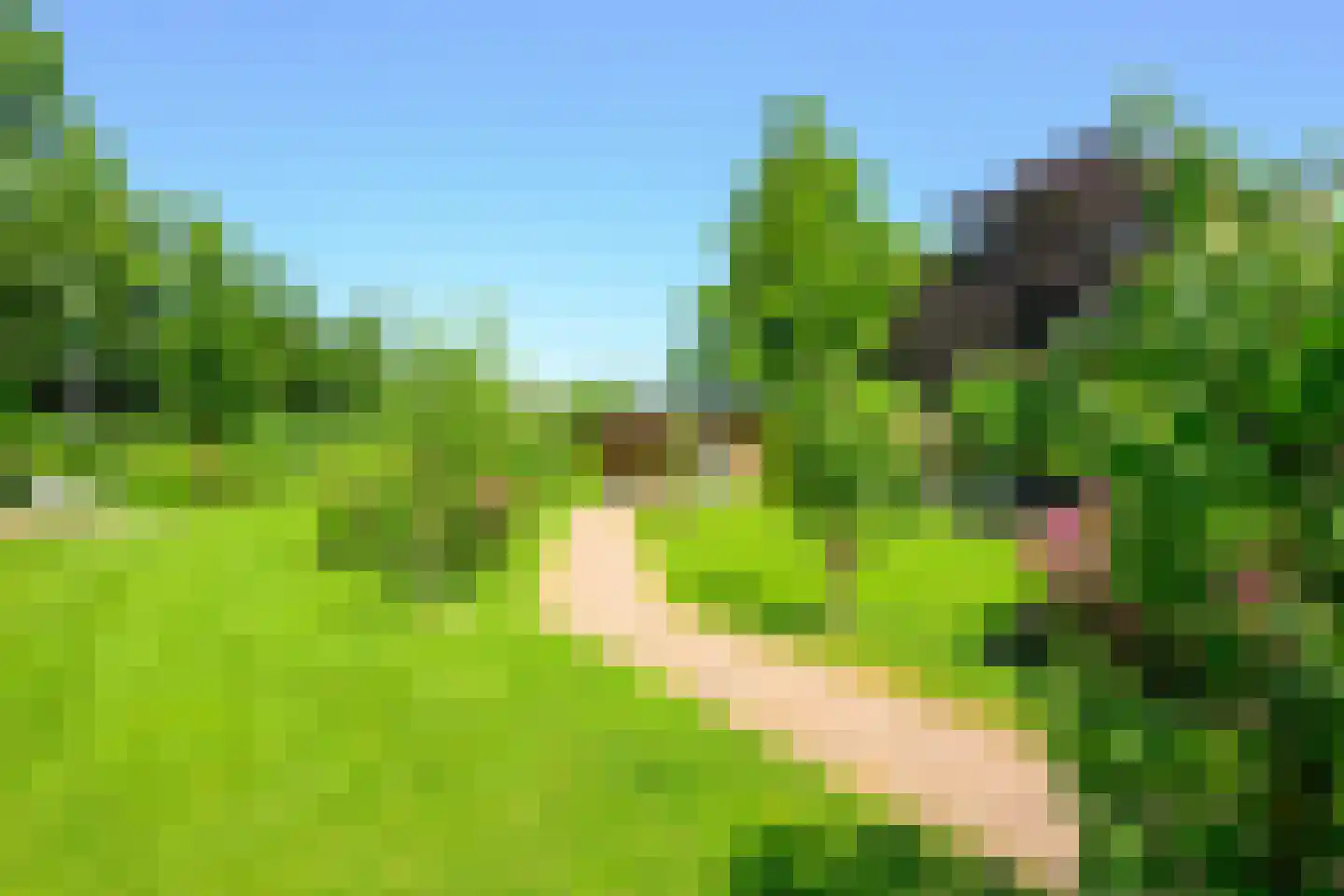Binnenwijzend 3 Westwoud thumbnail 4