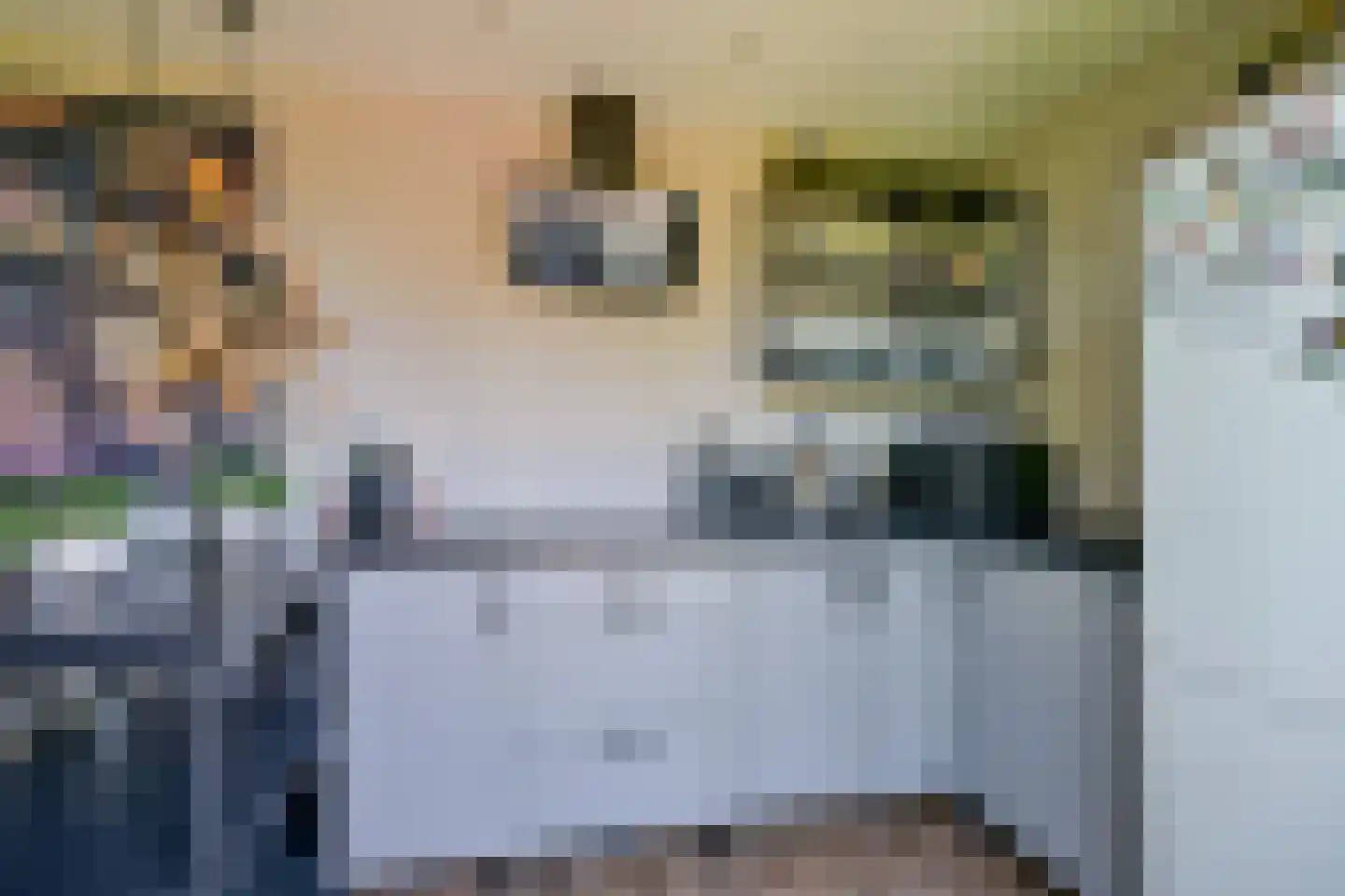 Binnenwijzend 3 Westwoud thumbnail 47