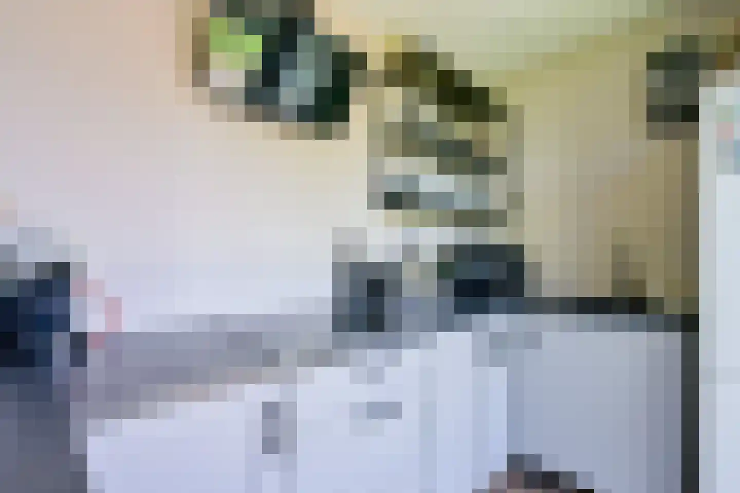 Binnenwijzend 3 Westwoud thumbnail 48