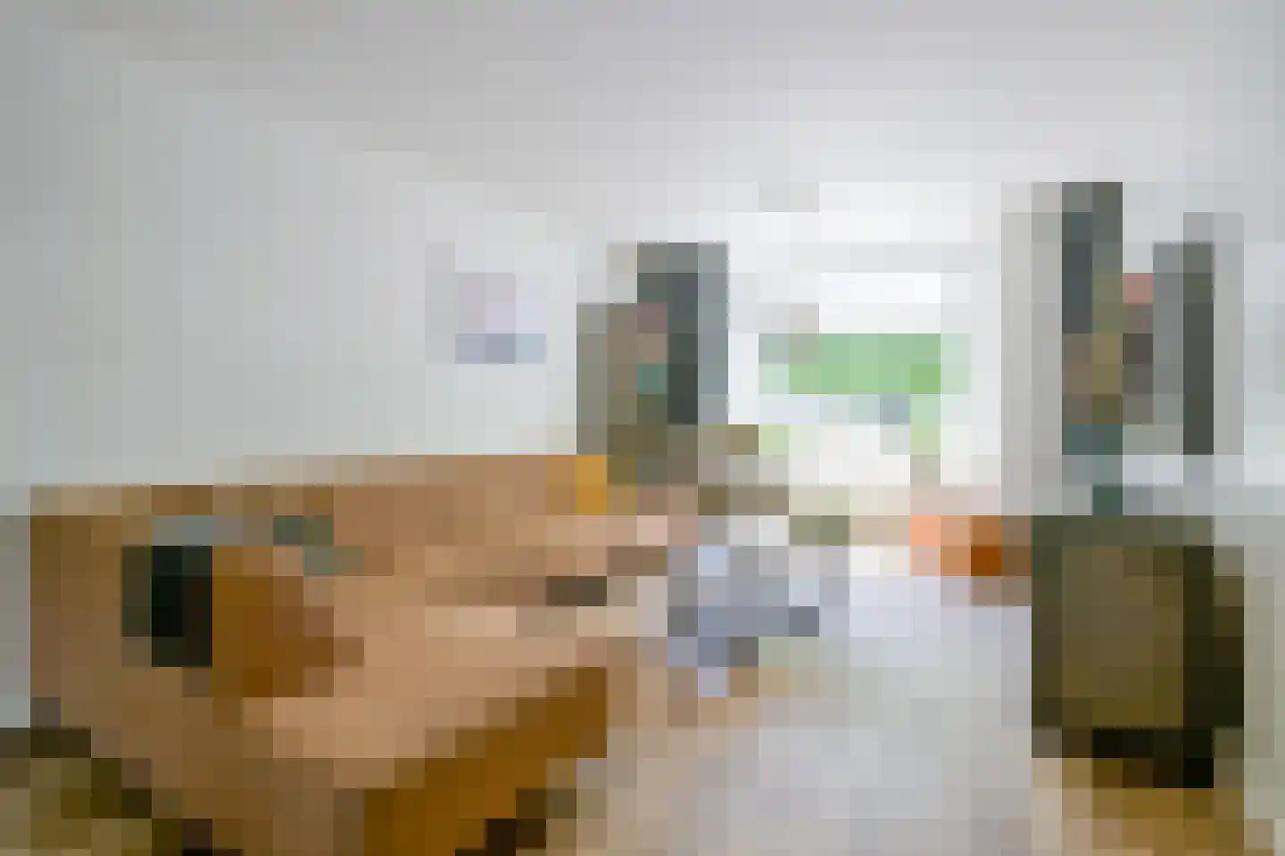 Binnenwijzend 3 Westwoud thumbnail 8
