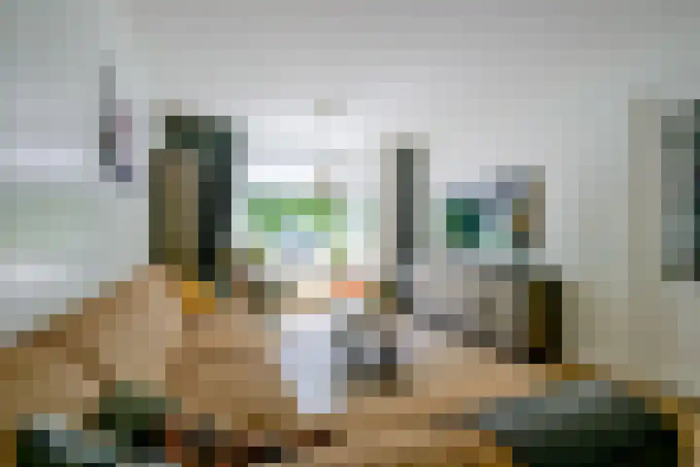 Binnenwijzend 3 Westwoud thumbnail 9