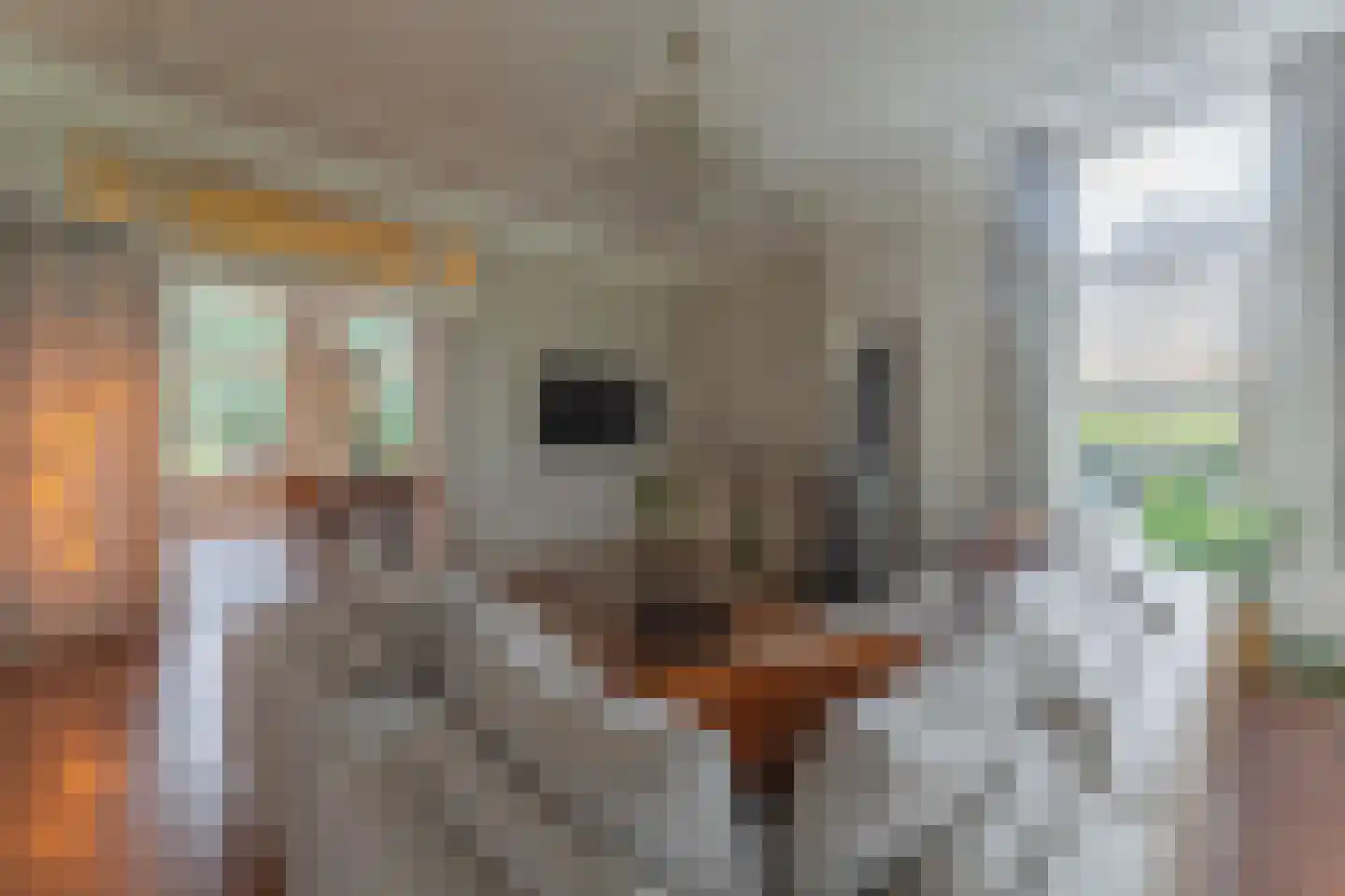 Binnenwijzend 52 Westwoud thumbnail 22