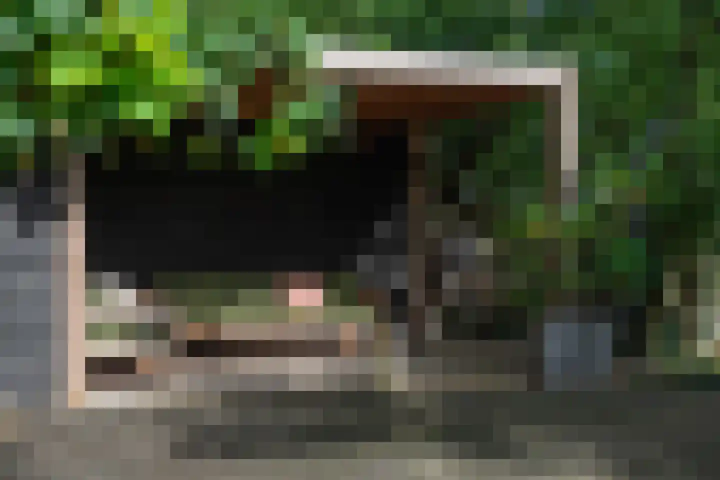 Binnenwijzend 52 Westwoud thumbnail 56