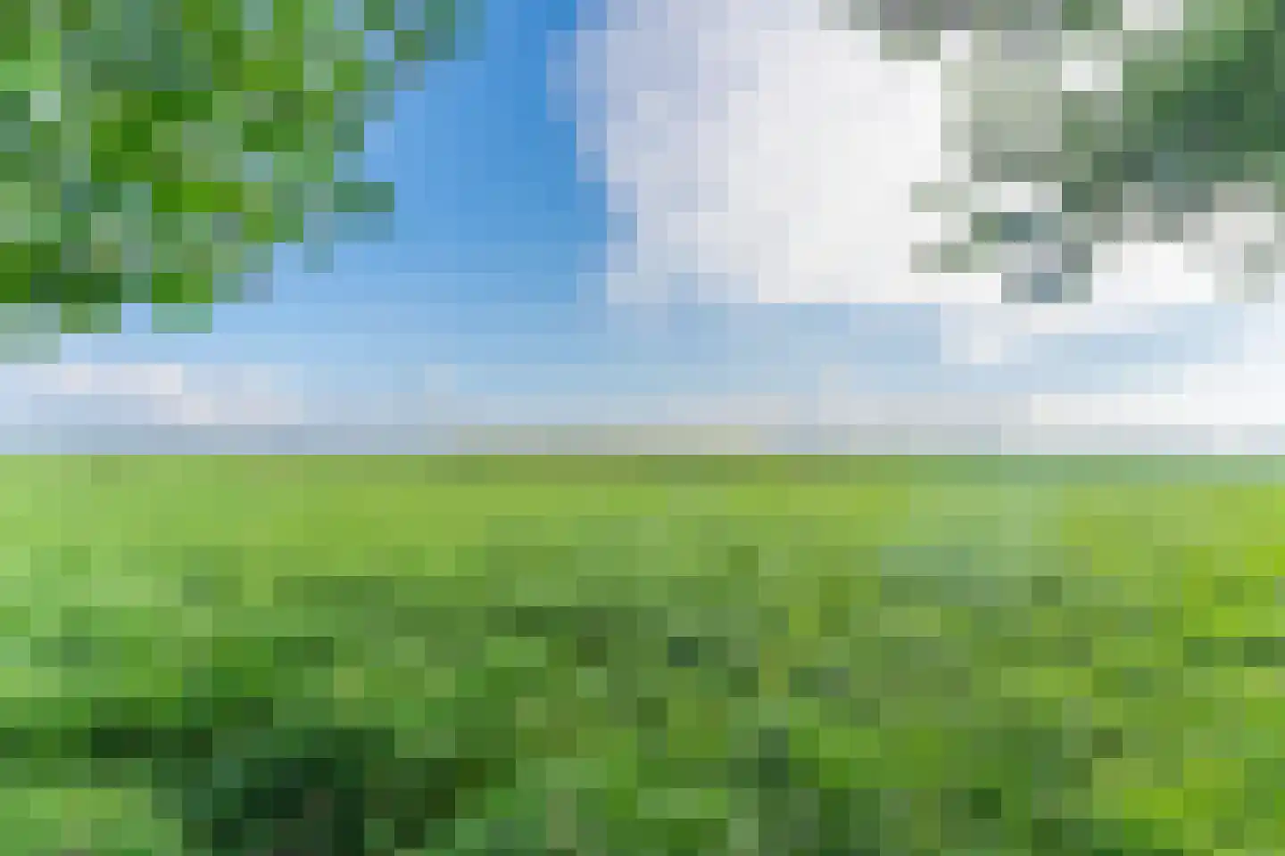 Binnenwijzend 52 Westwoud thumbnail 62