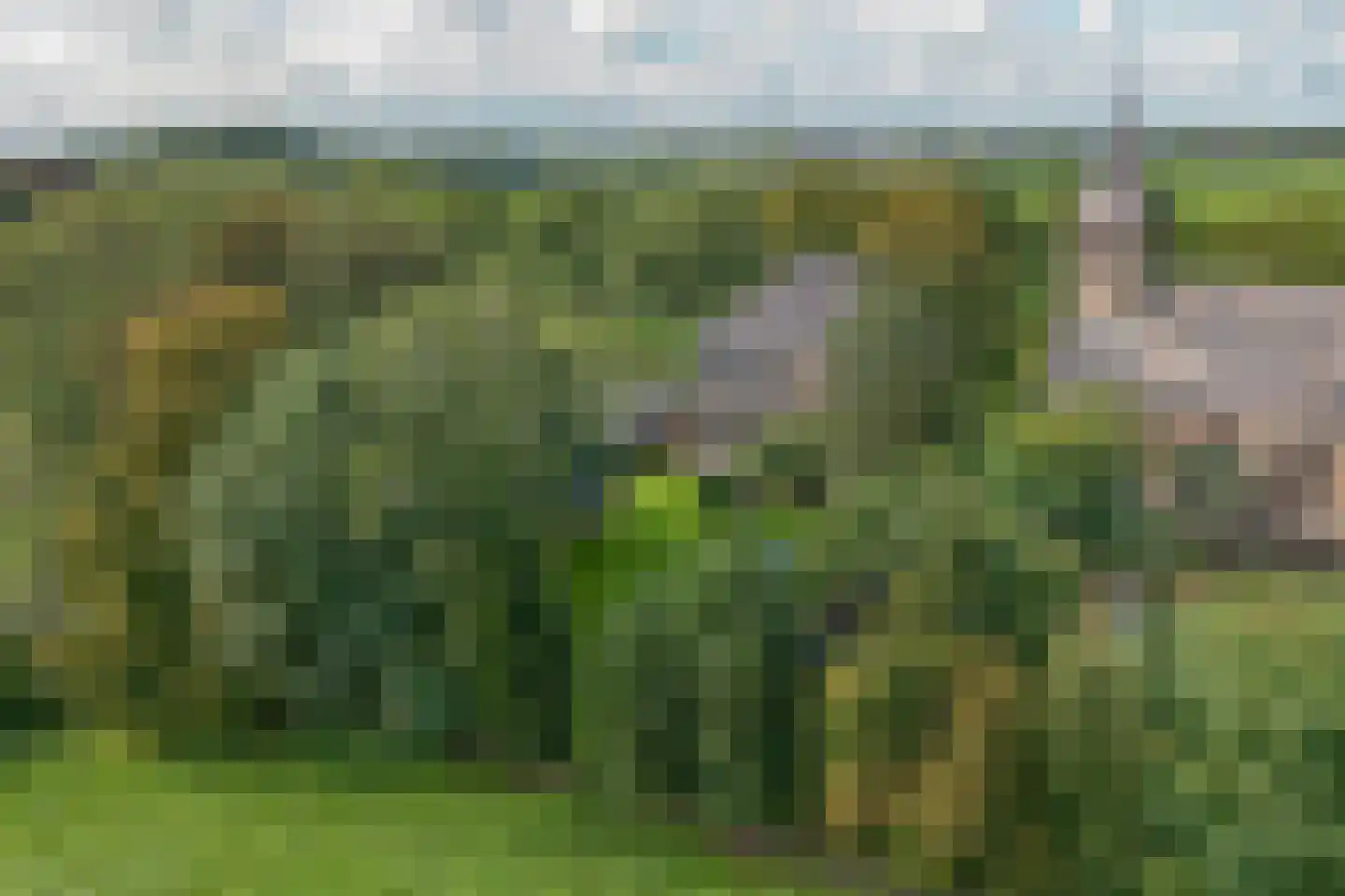 Binnenwijzend 52 Westwoud thumbnail 64