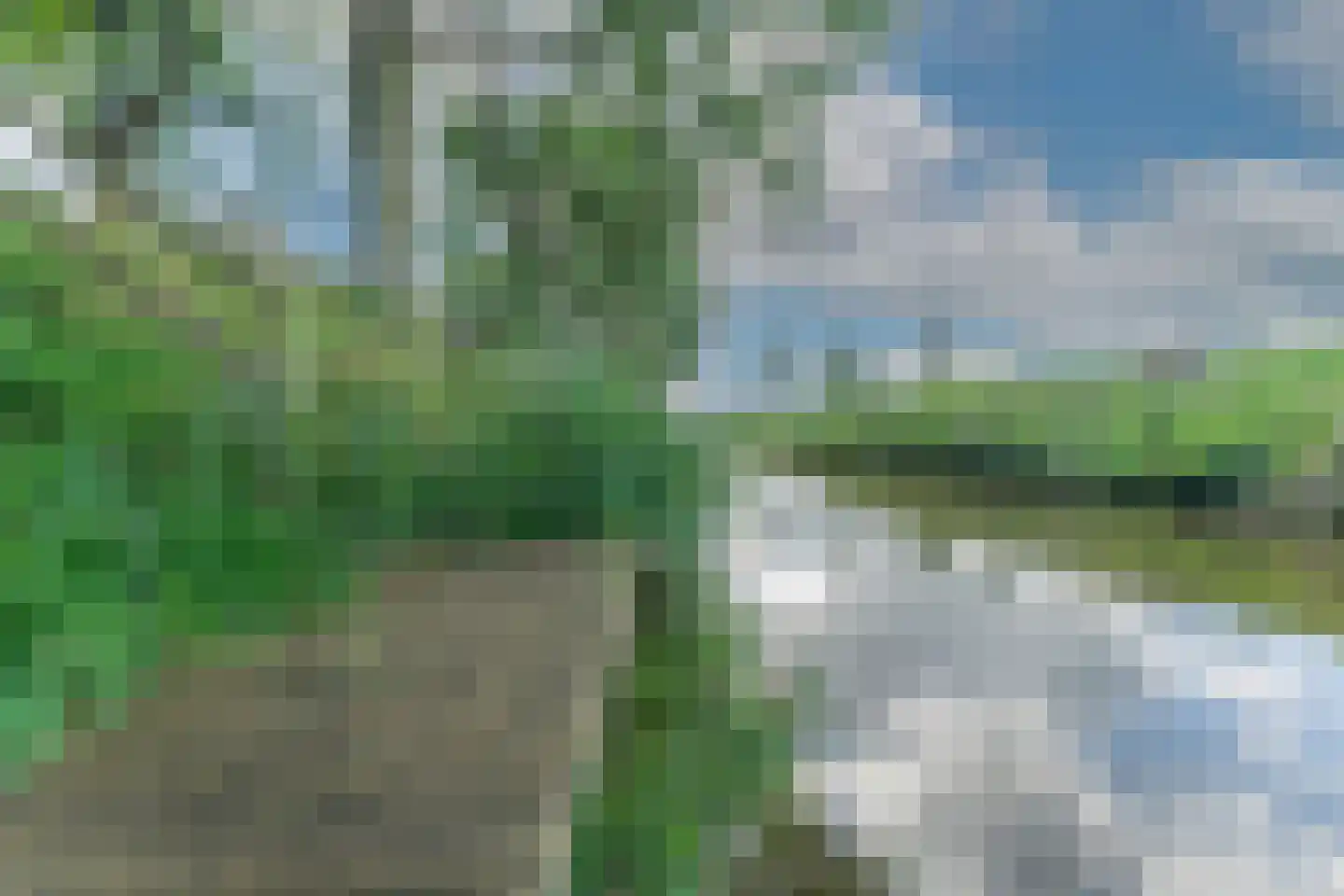 Binnenwijzend 52 Westwoud thumbnail 67