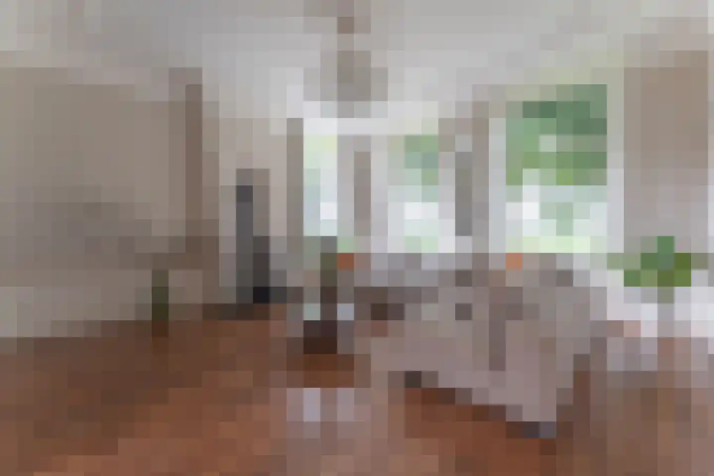 Binnenwijzend 52 Westwoud thumbnail 8