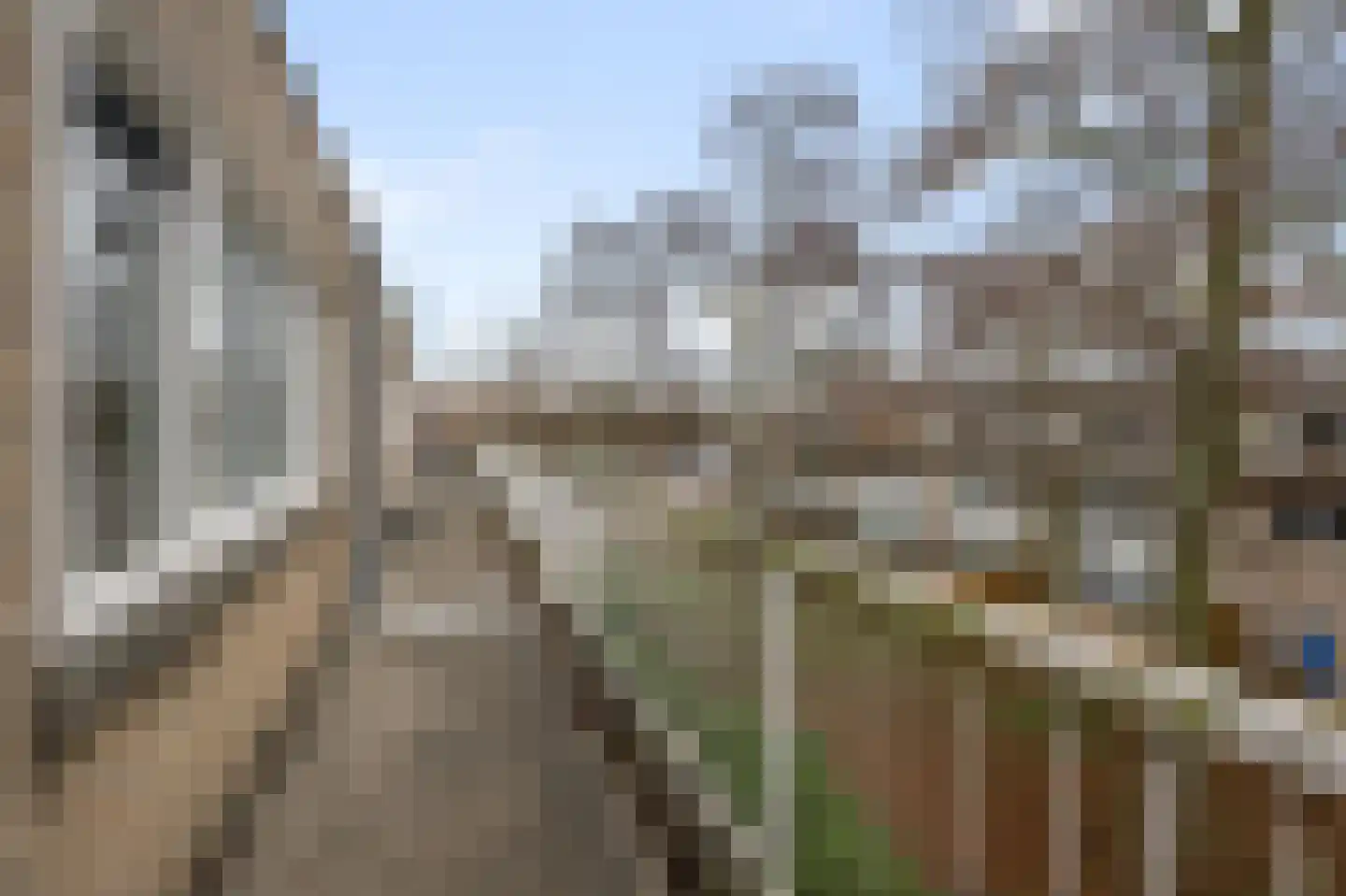 Binnenzagerij 36 Amsterdam thumbnail 14
