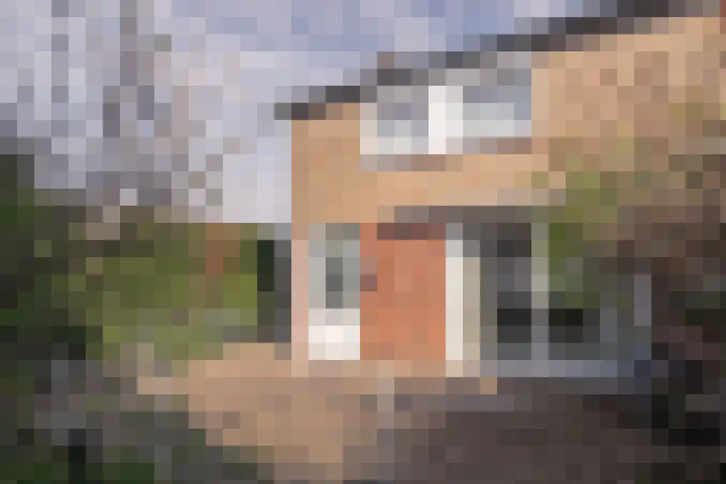 Binsveldhofstraat 36 Beek thumbnail 16