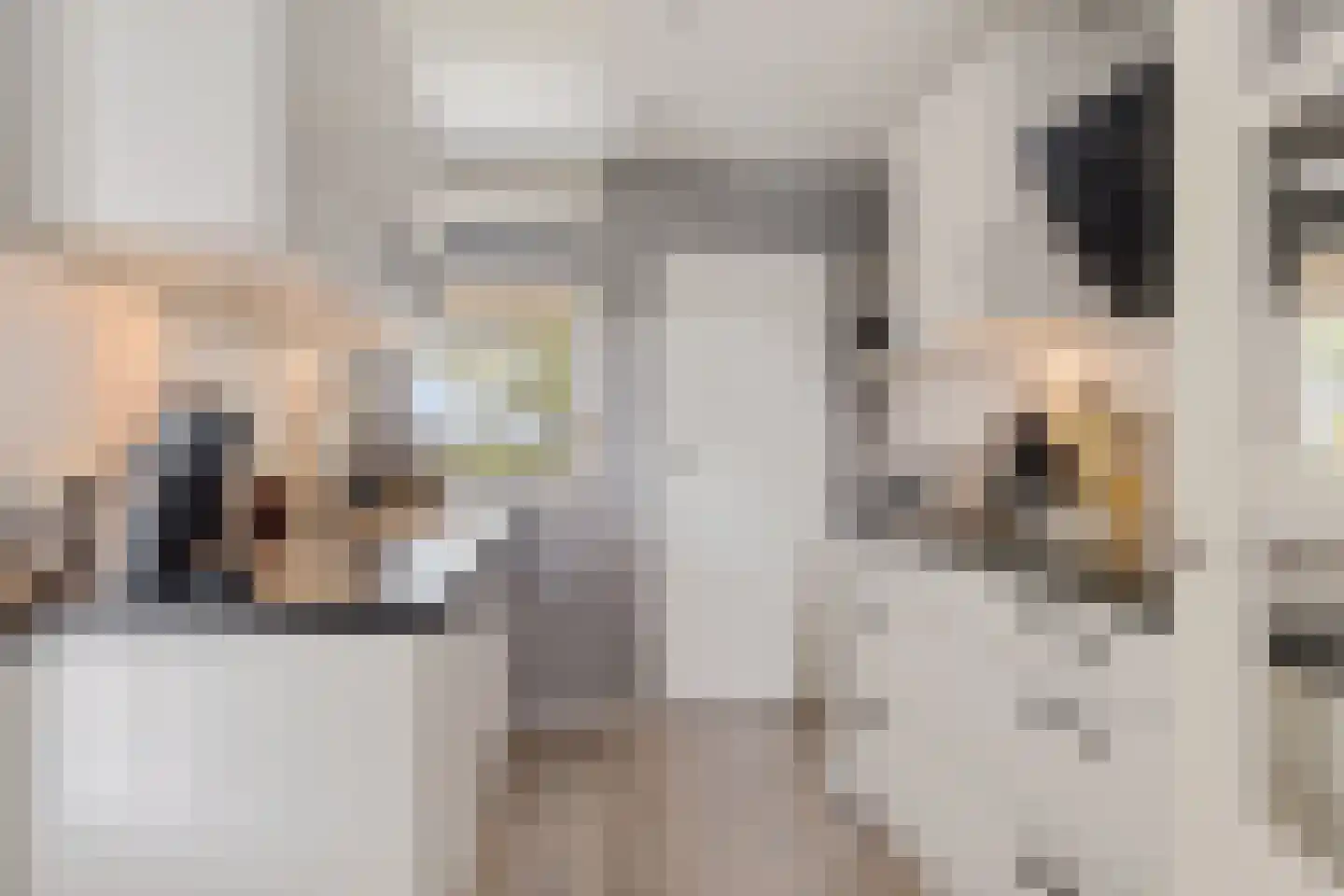 Bionsmastraat 5 Burum thumbnail 12