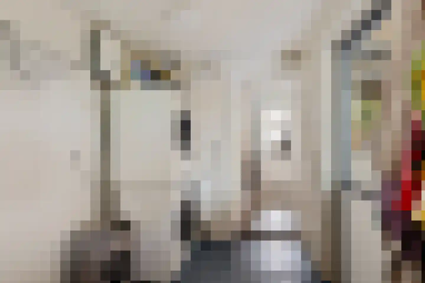 Bionsmastraat 5 Burum thumbnail 15