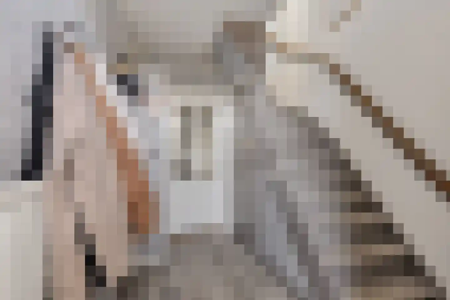 Bionsmastraat 5 Burum thumbnail 17