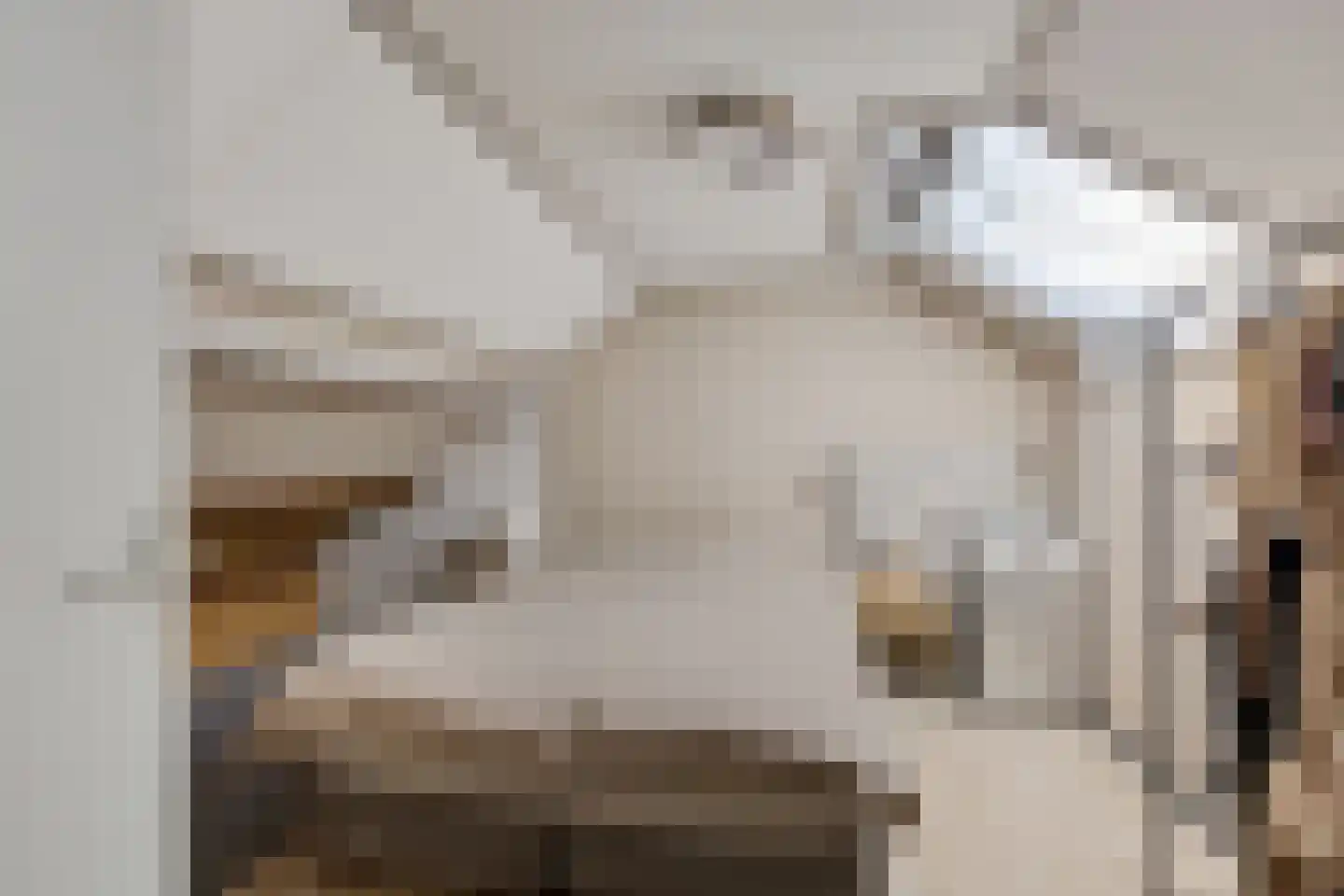 Bionsmastraat 5 Burum thumbnail 31