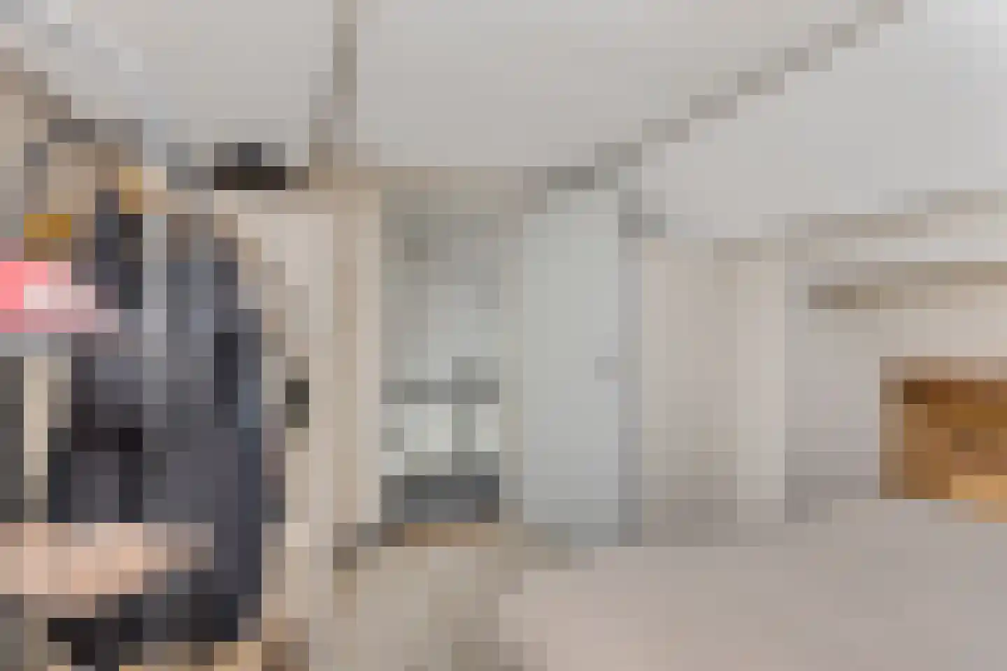 Bionsmastraat 5 Burum thumbnail 32