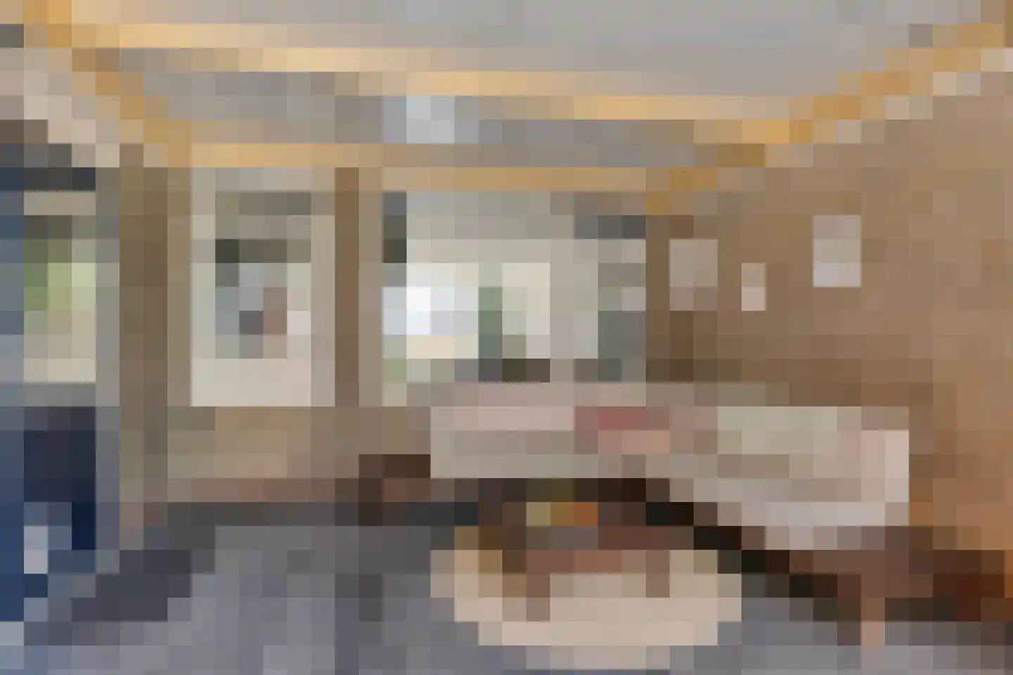 Bionsmastraat 5 Burum thumbnail 37