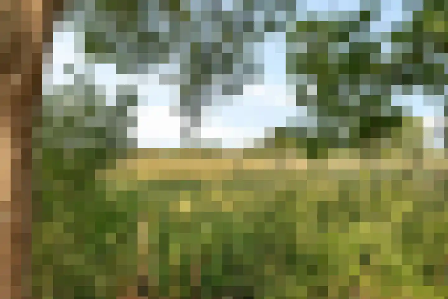 Bionsmastraat 5 Burum thumbnail 51