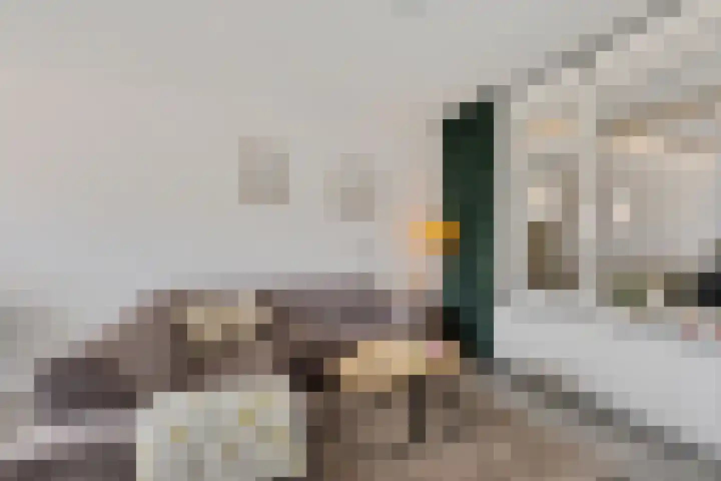 Bionsmastraat 5 Burum thumbnail 6