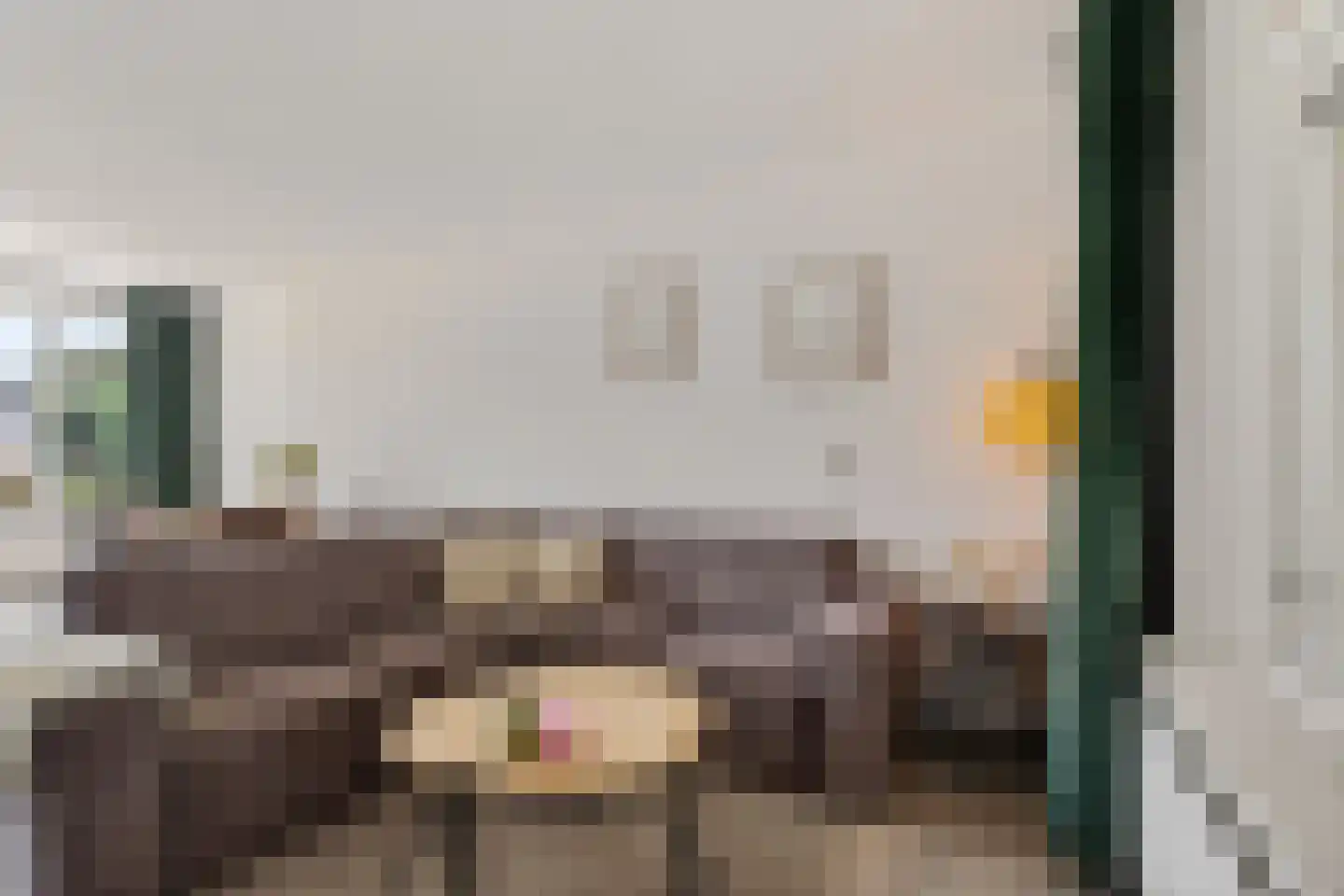 Bionsmastraat 5 Burum thumbnail 7