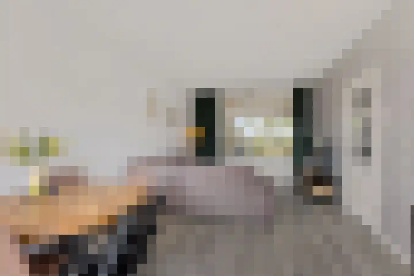 Bionsmastraat 5 Burum thumbnail 8