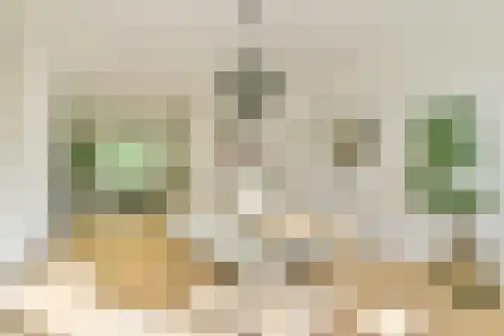 Biothof 11 1 in Amsterdam