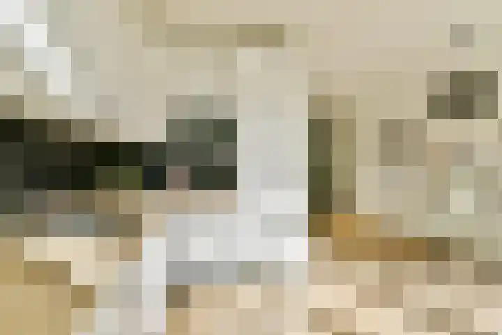 Biothof 11 1 Amsterdam thumbnail 11