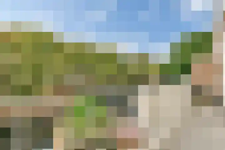 Biothof 11 1 Amsterdam thumbnail 12