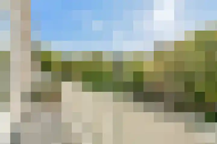 Biothof 11 1 Amsterdam thumbnail 14